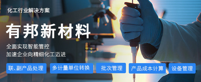 ERP軟件,本地化,ERP實(shí)施商,優(yōu)德普,ERP本地實(shí)施,SAP ERP軟件,SAP系統(tǒng)