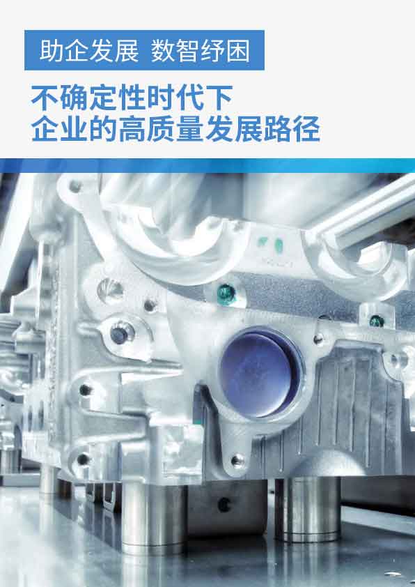 ERP軟件,本地化,ERP實施商,優(yōu)德普,ERP本地實施,SAP ERP軟件,SAP系統(tǒng)